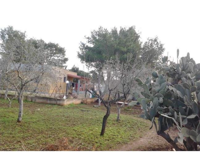 Anteprima foto 3 - Villa in Vendita a Francavilla Fontana (Brindisi)