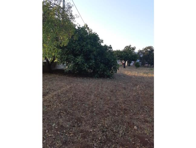 Anteprima foto 4 - Villa in Vendita a Francavilla Fontana (Brindisi)