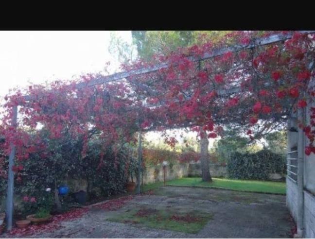 Anteprima foto 8 - Villa in Vendita a Francavilla Fontana (Brindisi)