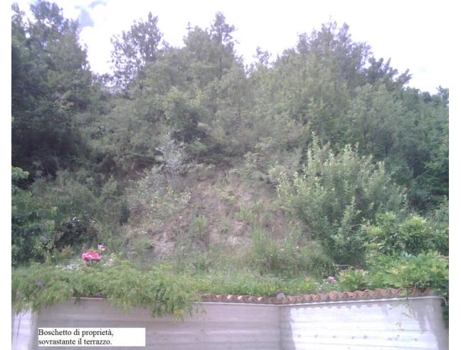 Anteprima foto 6 - Villa in Vendita a Francavilla in Sinni (Potenza)