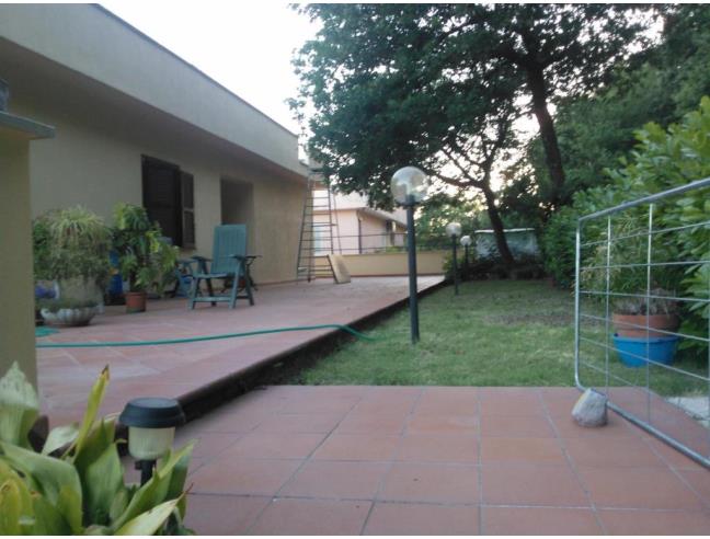 Anteprima foto 3 - Villa in Vendita a Gallese - Valli