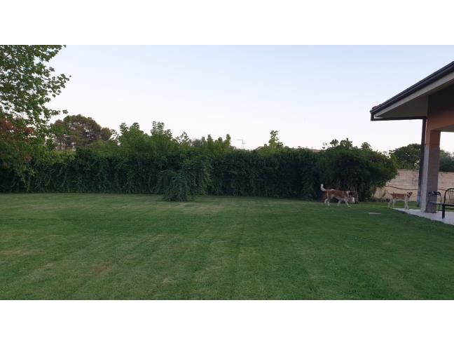 Anteprima foto 6 - Villa in Vendita a Gioia del Colle (Bari)