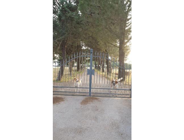 Anteprima foto 7 - Villa in Vendita a Gioia del Colle (Bari)