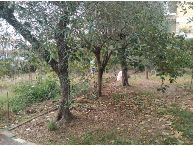 Anteprima foto 3 - Villa in Vendita a Grosseto - Casalecci