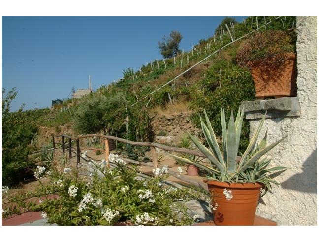 Anteprima foto 5 - Villa in Vendita a La Spezia - Biassa