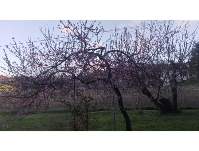Anteprima foto 4 - Villa in Vendita a Langhirano (Parma)
