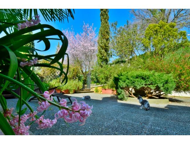 Anteprima foto 6 - Villa in Vendita a Lanuvio (Roma)