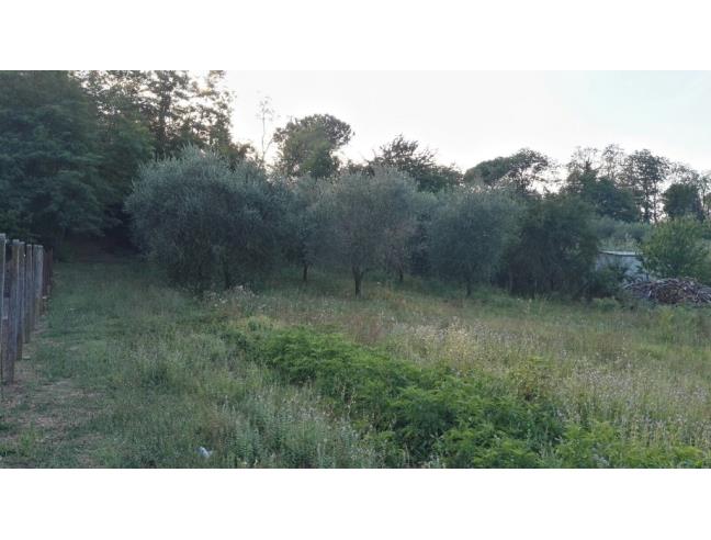 Anteprima foto 5 - Villa in Vendita a Lariano (Roma)