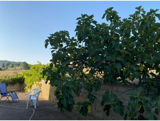 Anteprima foto 7 - Villa in Vendita a Lercara Friddi (Palermo)