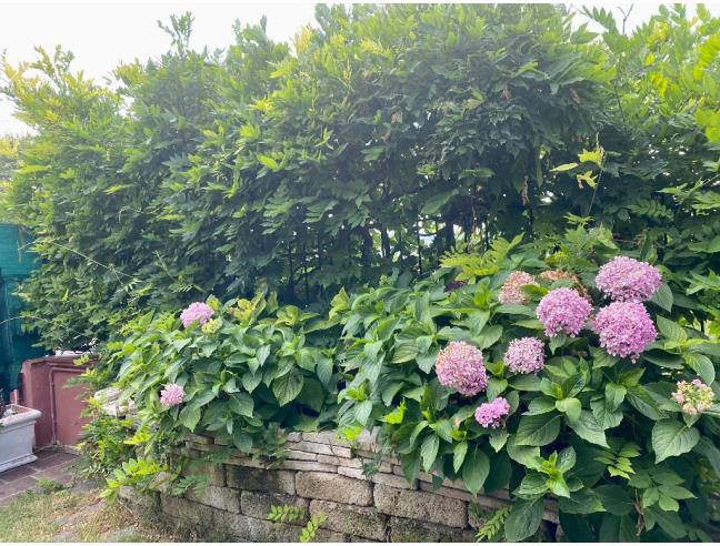 Anteprima foto 6 - Villa in Vendita a Lesignano de' Bagni (Parma)