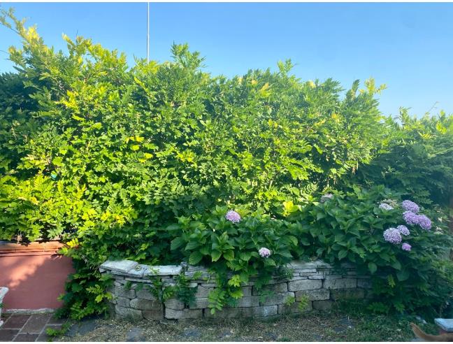 Anteprima foto 7 - Villa in Vendita a Lesignano de' Bagni (Parma)