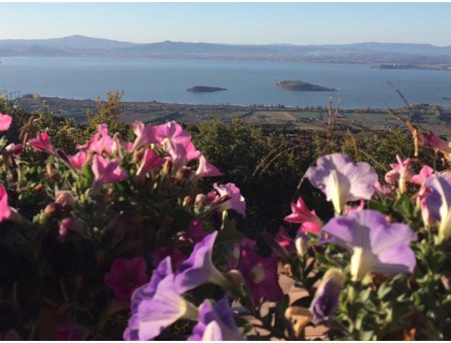 Anteprima foto 3 - Villa in Vendita a Lisciano Niccone - Gasparini