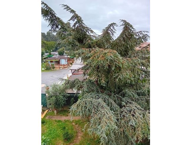 Anteprima foto 4 - Villa in Vendita a Loano (Savona)