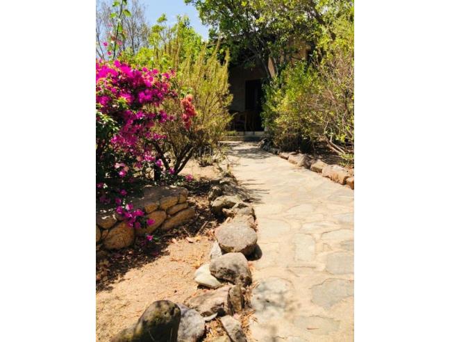 Anteprima foto 2 - Villa in Vendita a Loiri Porto San Paolo - Porto San Paolo