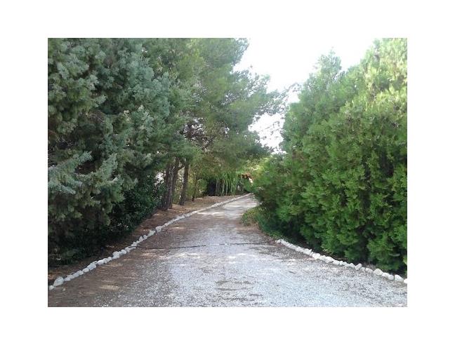 Anteprima foto 4 - Villa in Vendita a Lucera (Foggia)