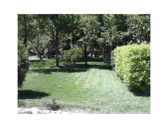 Anteprima foto 5 - Villa in Vendita a Lucera (Foggia)