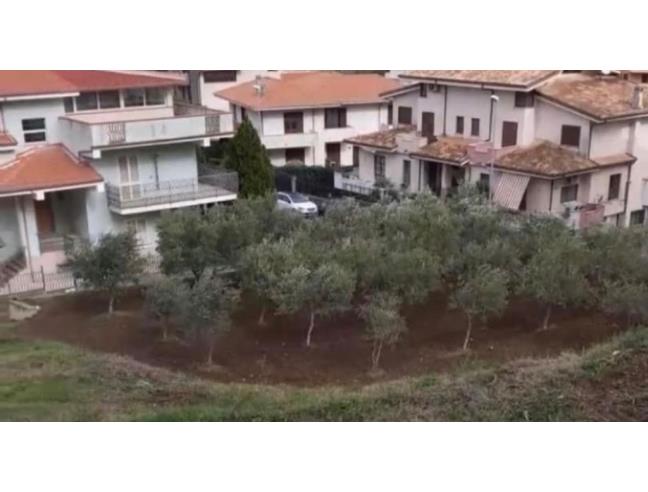Anteprima foto 6 - Villa in Vendita a Maida (Catanzaro)