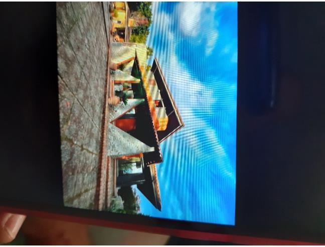 Anteprima foto 5 - Villa in Vendita a Malito (Cosenza)