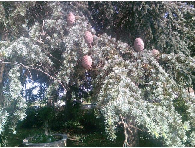 Anteprima foto 8 - Villa in Vendita a Martina Franca (Taranto)