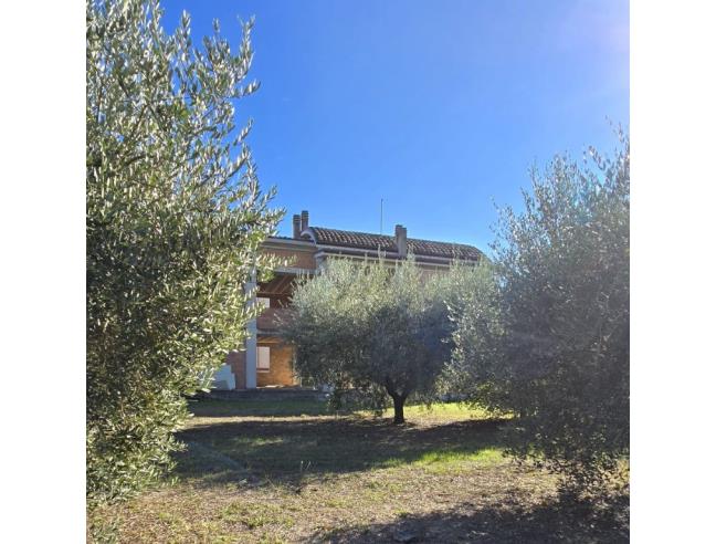 Anteprima foto 7 - Villa in Vendita a Martinsicuro (Teramo)