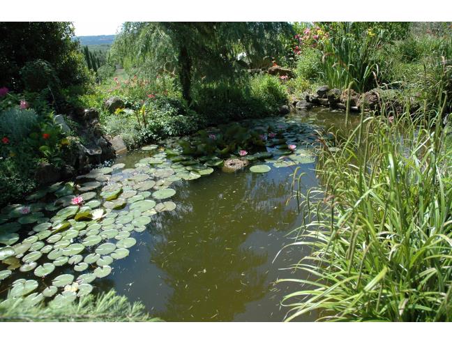 Anteprima foto 6 - Villa in Vendita a Mazzano Romano (Roma)