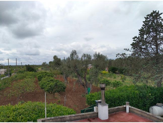Anteprima foto 2 - Villa in Vendita a Mesagne (Brindisi)