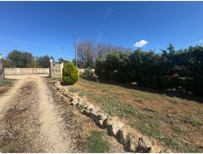 Anteprima foto 3 - Villa in Vendita a Mesagne (Brindisi)