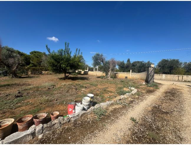 Anteprima foto 4 - Villa in Vendita a Mesagne (Brindisi)