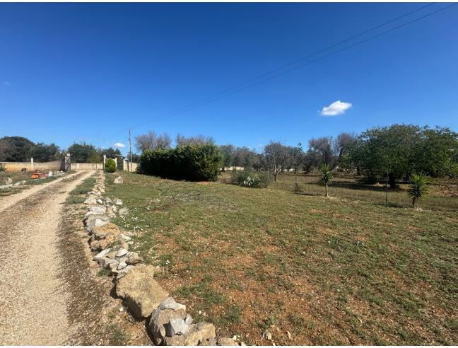 Anteprima foto 5 - Villa in Vendita a Mesagne (Brindisi)