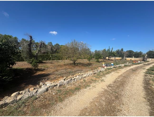 Anteprima foto 6 - Villa in Vendita a Mesagne (Brindisi)