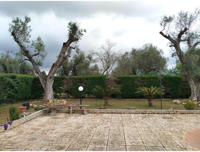 Anteprima foto 6 - Villa in Vendita a Mesagne (Brindisi)