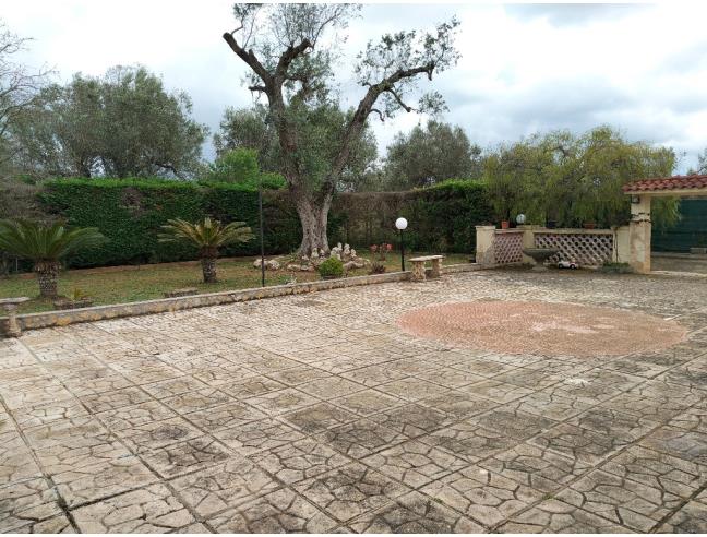 Anteprima foto 7 - Villa in Vendita a Mesagne (Brindisi)