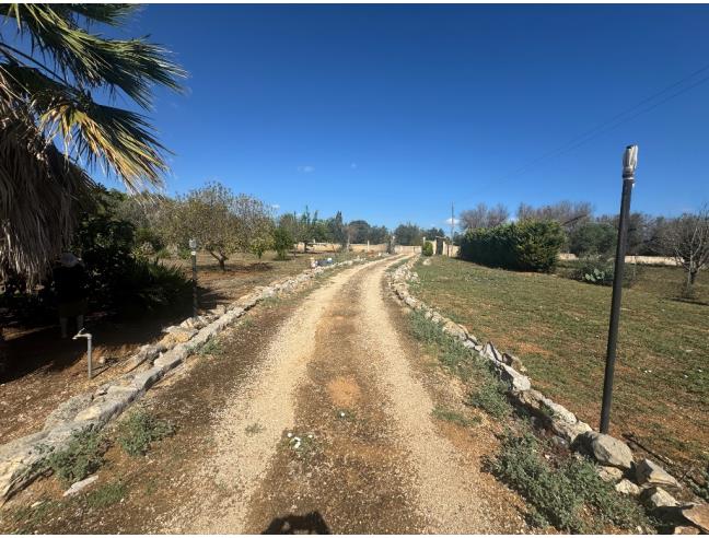 Anteprima foto 7 - Villa in Vendita a Mesagne (Brindisi)