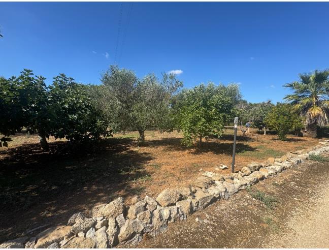 Anteprima foto 8 - Villa in Vendita a Mesagne (Brindisi)