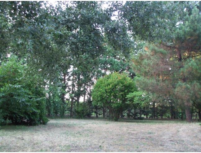 Anteprima foto 6 - Villa in Vendita a Mesola - Bosco Mesola