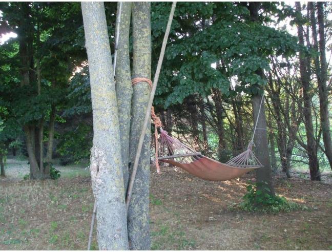 Anteprima foto 8 - Villa in Vendita a Mesola - Bosco Mesola