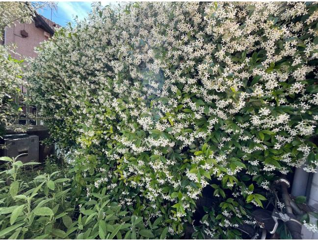 Anteprima foto 2 - Villa in Vendita a Milano - Isola