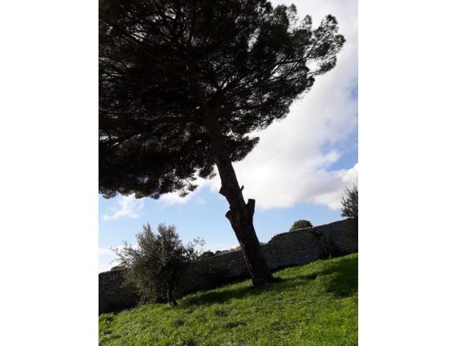 Anteprima foto 3 - Villa in Vendita a Modica (Ragusa)