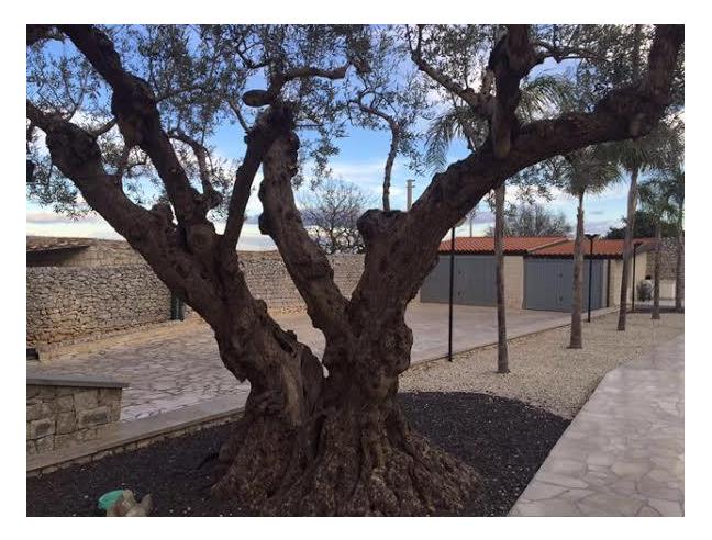 Anteprima foto 6 - Villa in Vendita a Modica (Ragusa)