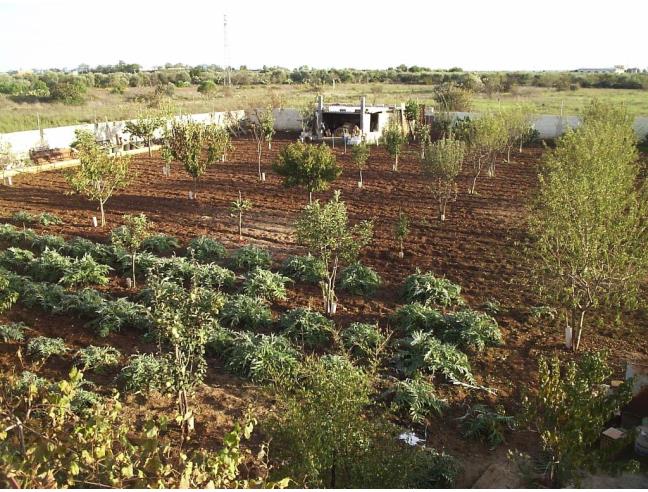 Anteprima foto 4 - Villa in Vendita a Modugno (Bari)