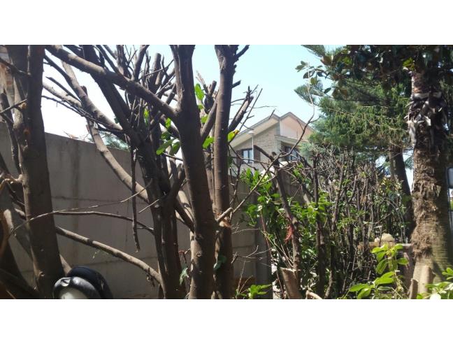 Anteprima foto 3 - Villa in Vendita a Mondragone (Caserta)