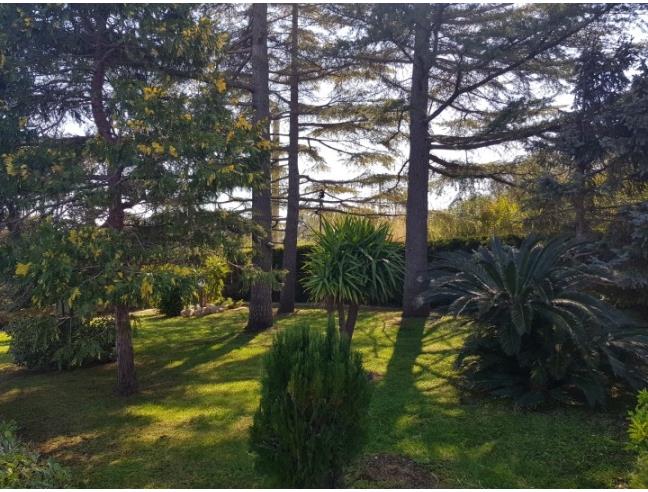 Anteprima foto 3 - Villa in Vendita a Monopoli (Bari)