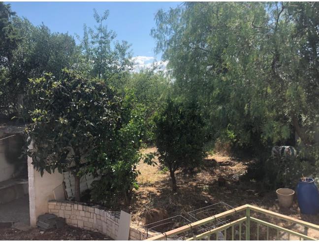 Anteprima foto 7 - Villa in Vendita a Monopoli - Cozzana