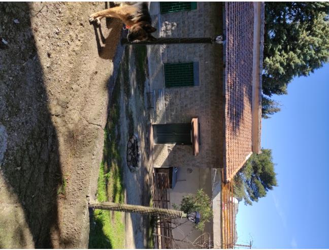 Anteprima foto 6 - Villa in Vendita a Monreale (Palermo)