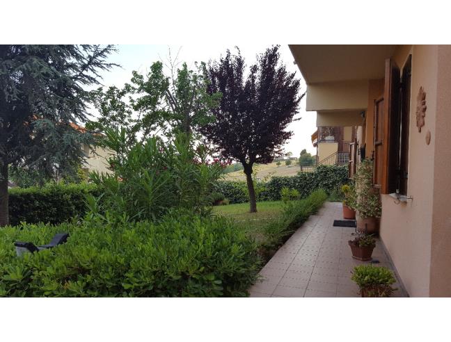 Anteprima foto 4 - Villa in Vendita a Monte Porzio - Castelvecchio