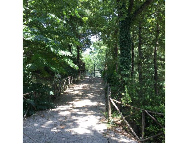 Anteprima foto 5 - Villa in Vendita a Nazzano (Roma)