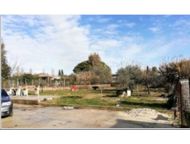 Anteprima foto 6 - Villa in Vendita a Nettuno (Roma)