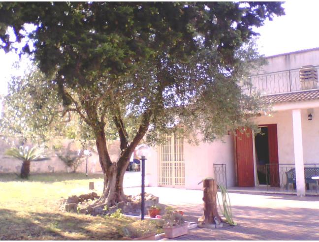 Anteprima foto 8 - Villa in Vendita a Nettuno (Roma)