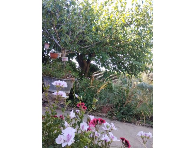 Anteprima foto 6 - Villa in Vendita a Niscemi (Caltanissetta)