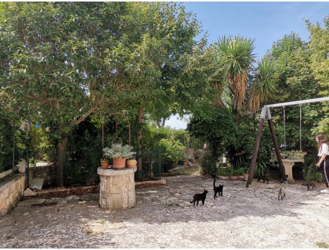 Anteprima foto 3 - Villa in Vendita a Noci (Bari)